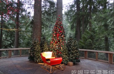 Capilano Suspension Bridge 卡普蘭奴吊橋 – North Vancouver