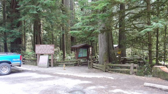 MacMillan Provincial Park 麥克米蘭省立公園 – Vancouver Island