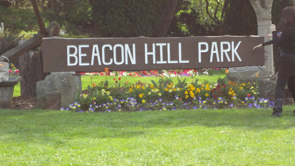 Beacon Hill Park 碧根山公園 – Victoria