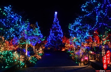 VanDusen Botanical Garden 範杜森植物園 - Oak Street