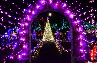 VanDusen Botanical Garden 範杜森植物園 - Oak Street