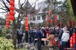 Year of the Snake Temple Fair 蛇年廟會 2013