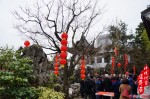 Year of the Snake Temple Fair 蛇年廟會 2013