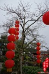 Year of the Snake Temple Fair 蛇年廟會 2013