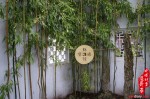 Year of the Snake Temple Fair 蛇年廟會 2013