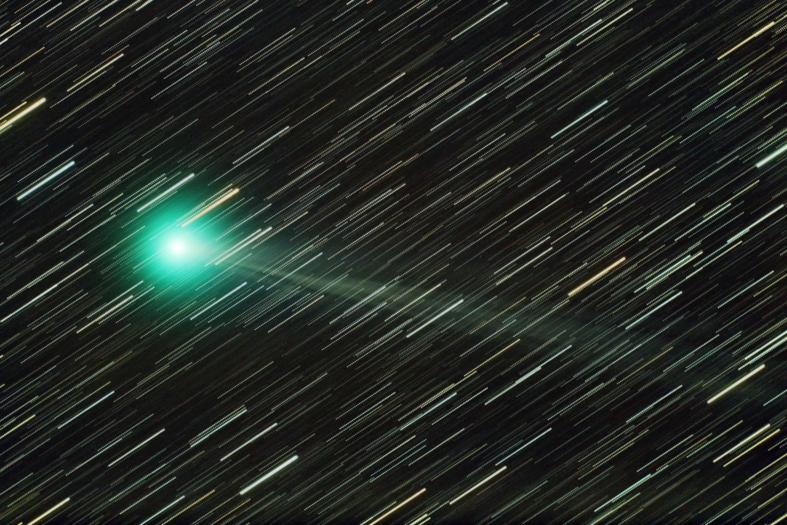 Pan-STARRS彗星