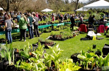 VanDusen Plant Sale 凡杜森植物展銷會 2013