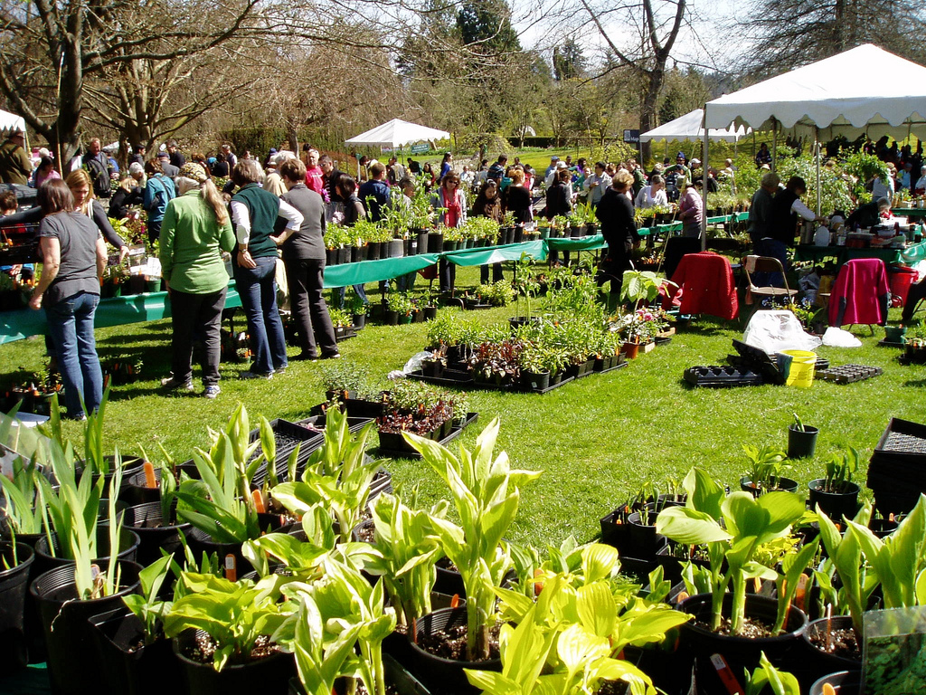 VanDusen Plant Sale 凡杜森植物展銷會 2013