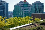 溫哥華公共圖書館準備開放市中心空中花園
