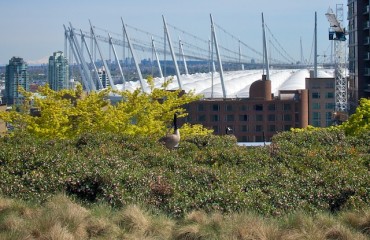 溫哥華公共圖書館準備開放市中心空中花園