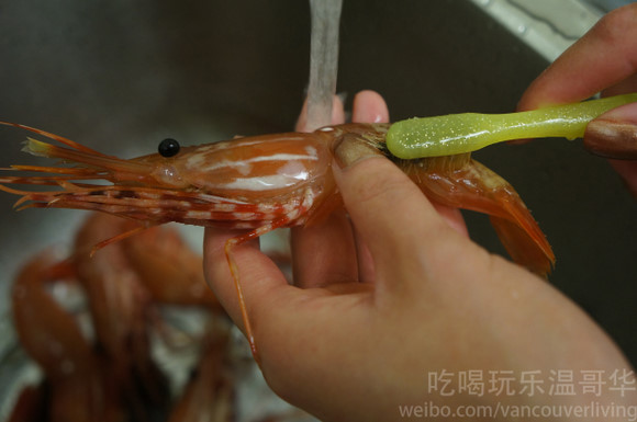 斑點蝦刺身做法