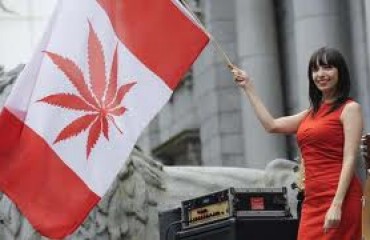 420 Vancouver 溫哥華大麻日 2013