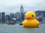 巨型橡膠鴨抵達香港