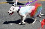 Vancouver Pride Parade 溫哥華同性戀自豪巡遊 2013