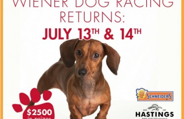 Wiener Dog Races 臘腸犬競賽 2013