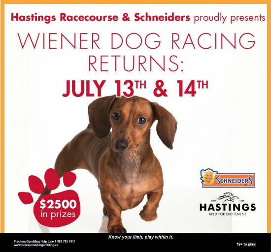 Wiener Dog Races 臘腸犬競賽 2013