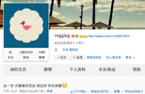 王菲李亞鵬微博宣布緣盡離婚