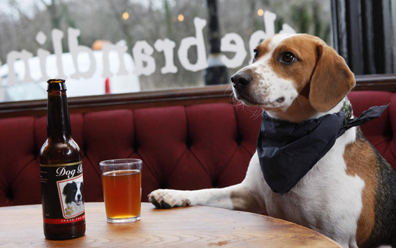 Doggy Beer Tasting 狗狗品酒會