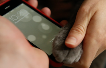 貓咪也可以使用iPhone 5S的Touch ID