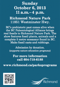 Richmond Nature Park's Fossil Show 列治文自然公園化石展 2013