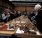 Vancouver Mushroom Show 溫哥華蘑菇展 2013