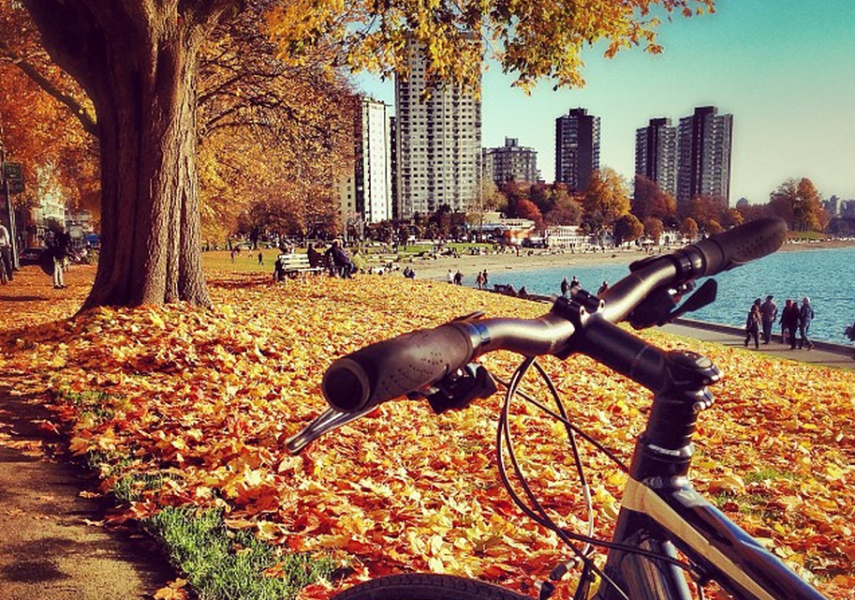 Instagram上20張最美的溫哥華秋景圖