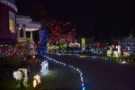 6萬盞聖誕燈為Canuck Place兒童帶來歡樂