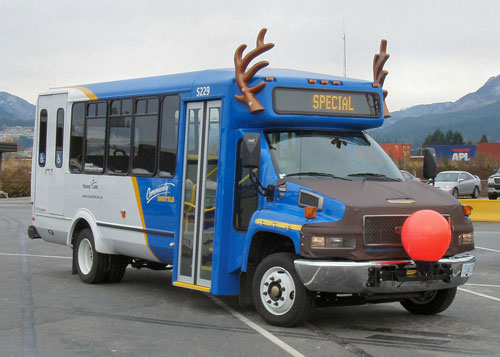 運輸聯網冬季服務啟動增多條巴士線