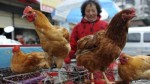 北美首例 加人染H5N1禽流感亡