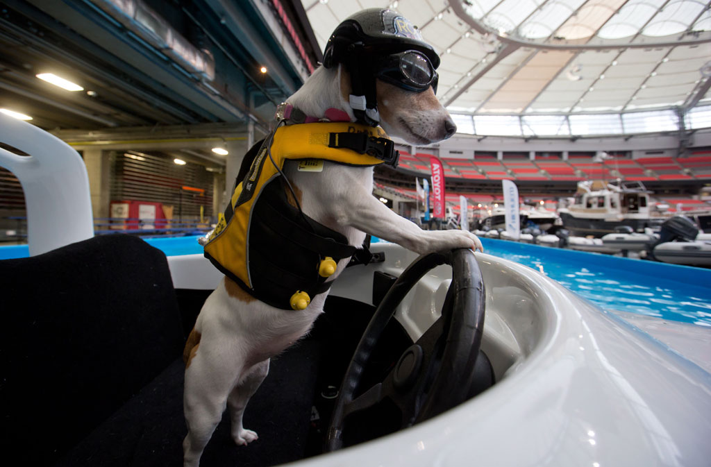 Vancouver International Boat Show 溫哥華國際遊艇展 2014