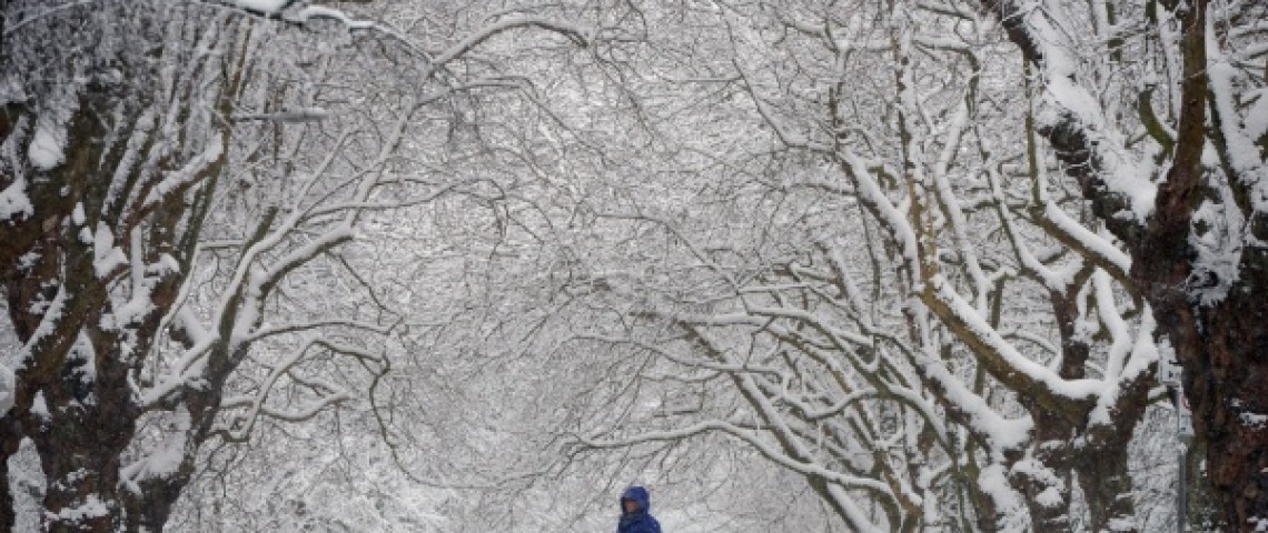 大溫飄雪五厘米 公交未受影響