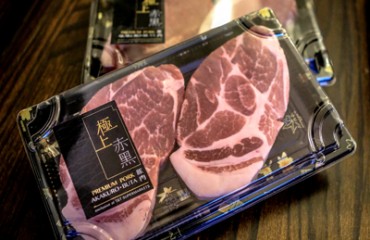 Akakuro-buta tasting tour 極上赤黑豚肉品嚐之旅