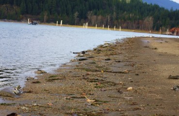 菲沙河谷 驚見福島核污物質