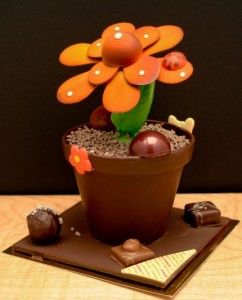 chocolate flowerpot