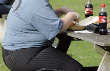 卑詩癡肥率最低 全國1/4人超重