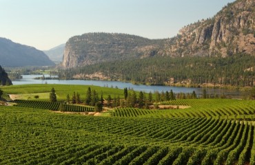 歐肯那根谷獲全球最佳葡萄酒種植區域第二名