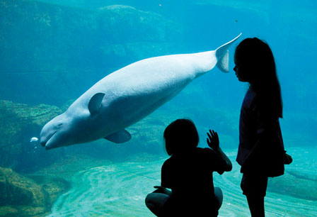 溫市水族館兩入十佳榜