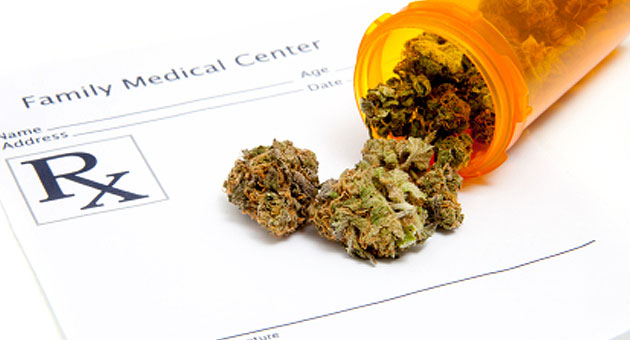 藥用大麻種植申請者眾 政府審批慢