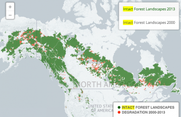 加拿大森林破坏全球最严重