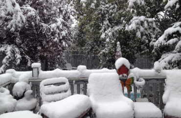 卡爾加里中秋降初雪