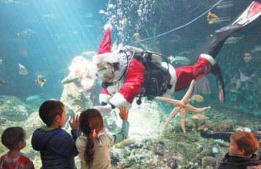 溫水族館推聖誕老人潛水秀