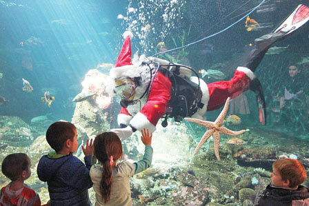 溫水族館推聖誕老人潛水秀