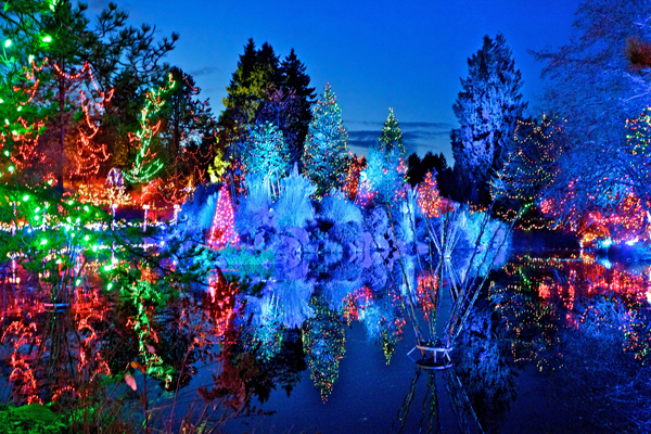 Festival of Lights 溫哥華聖誕燈飾節 2013