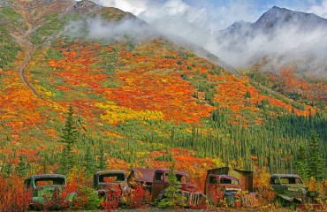 加拿大廢棄卡車銹色五彩斑斕融入自然美景(組圖)