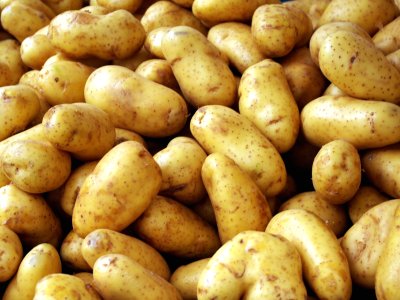 馬鈴薯 有助減肥