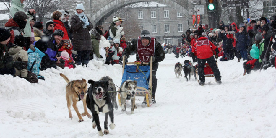 看雪橇犬賽跑是一種怎樣的體驗？