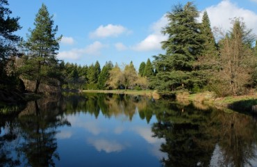 三月遊覽VanDusen Botanical Garden兒童免票