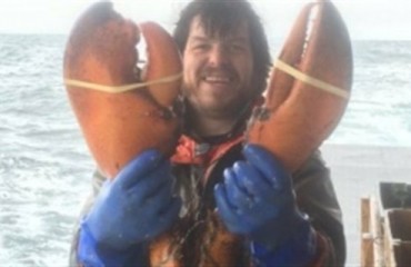 加拿大漁民捕到超大龍蝦重量將近17磅