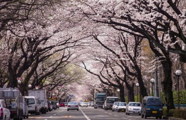 盤點大溫地區本週精彩活動（10日- 17日）