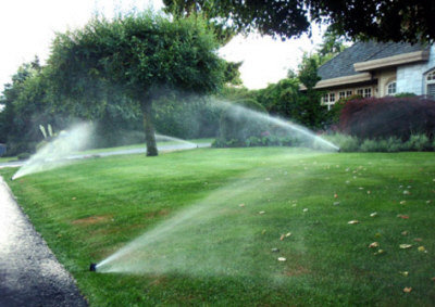 限制草地灑水措施 6月1日起生效